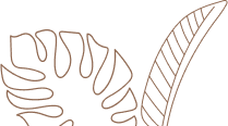 leaves_2_2